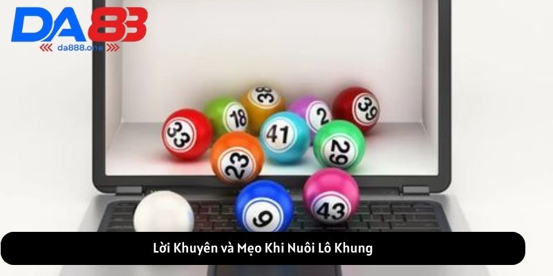Lời Khuyên và Mẹo Khi Nuôi Lô Khung